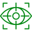 vision